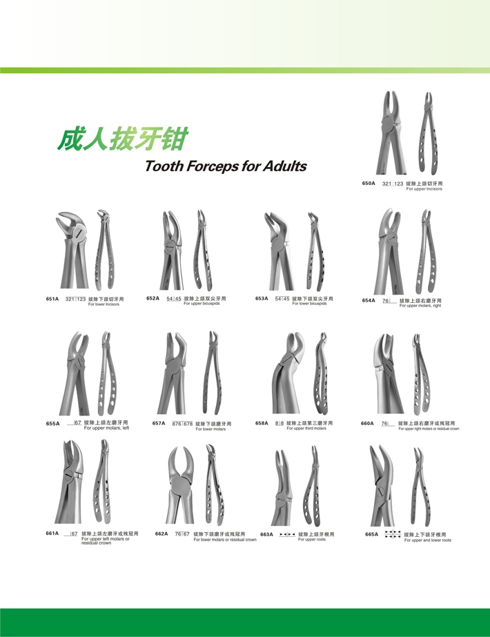 长沙天天(天美) 成人拔牙钳 各种型号 外科器械 口腔材料 牙科